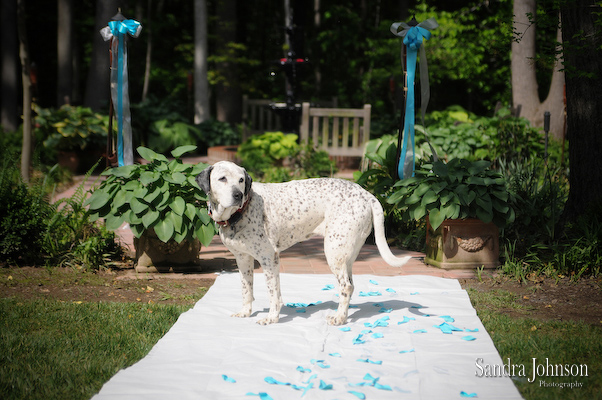 Best Annapolis Wedding Photos - Sandra Johnson (SJFoto.com)